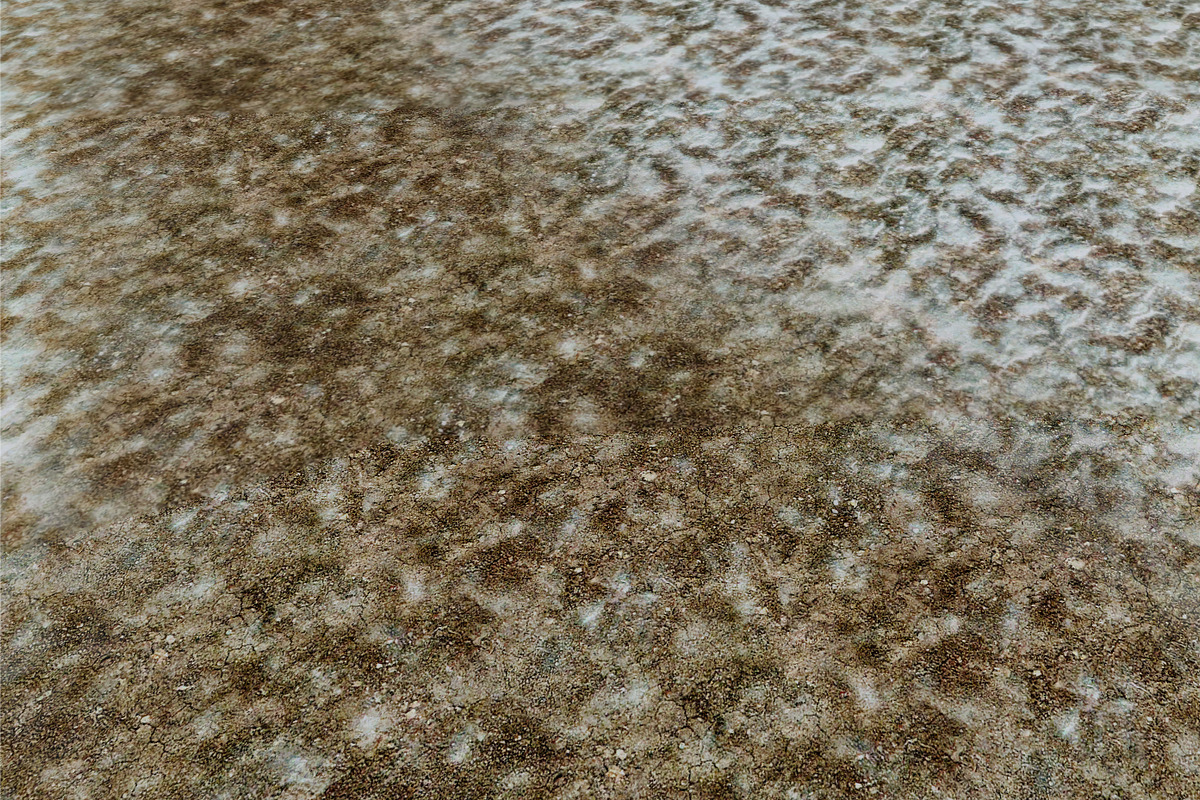 AUTUMN AND WINTER TEXTURE PACK, a Textures & Material 3D Model by Beatheart Creative Studio (Photo 47 of 58)