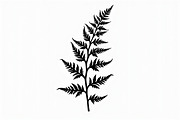 Elegant Fern Leaf Silhouette Bundle, an Illustration by Designs_River (Thumbnail 4 of 9)