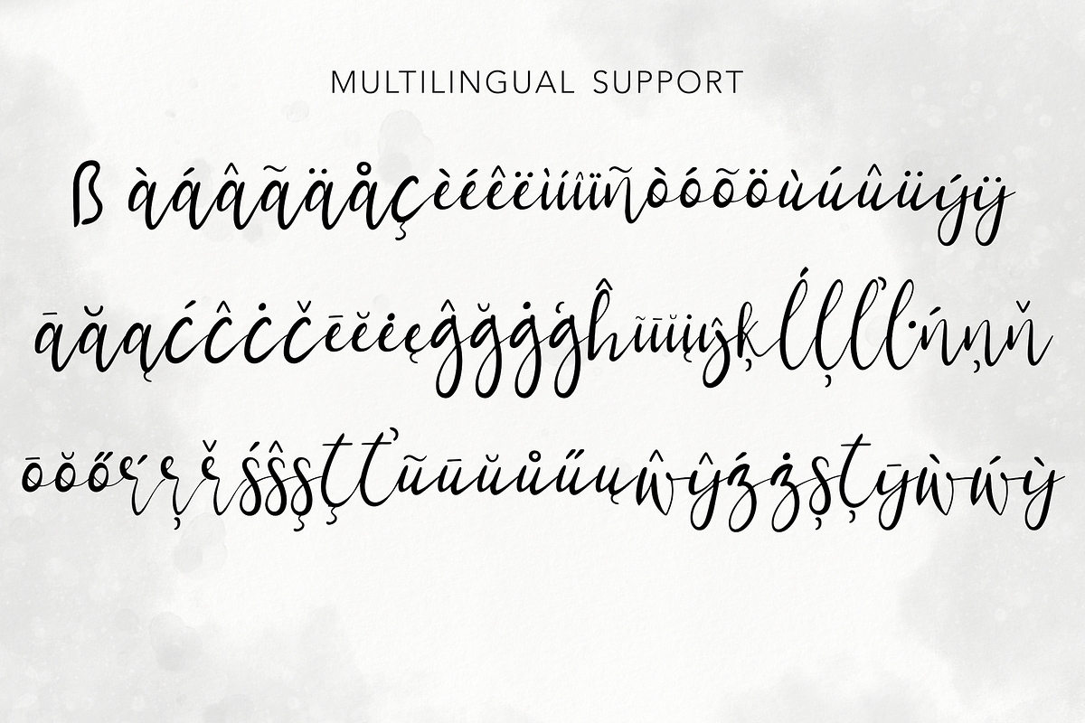 Demilo Brush Script With Swashes preview 5