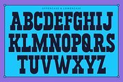 Tenka - Condensed Slab Serif Font, a Font by Pekotype (Thumbnail 3 of 15)