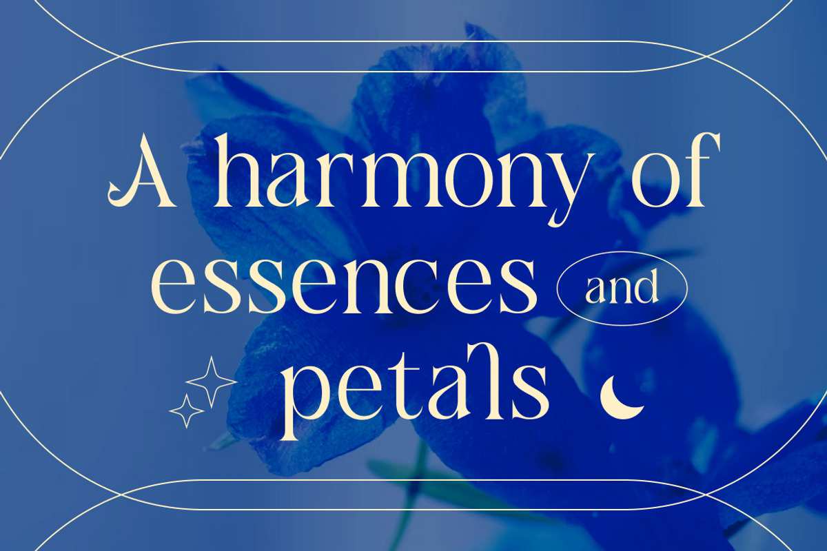 Cagiste Elegant Luxury Serif Font, a Serif Font by Rasio Studio (Photo 5 of 8)