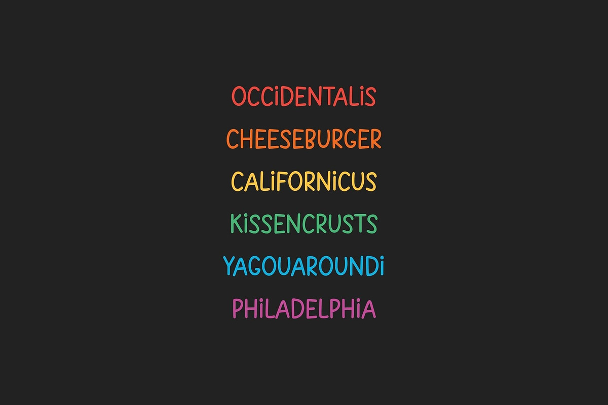 Special Memory is a handwritten font, a Handwritten Font by Brown Cupple (Photo 4 of 9)
