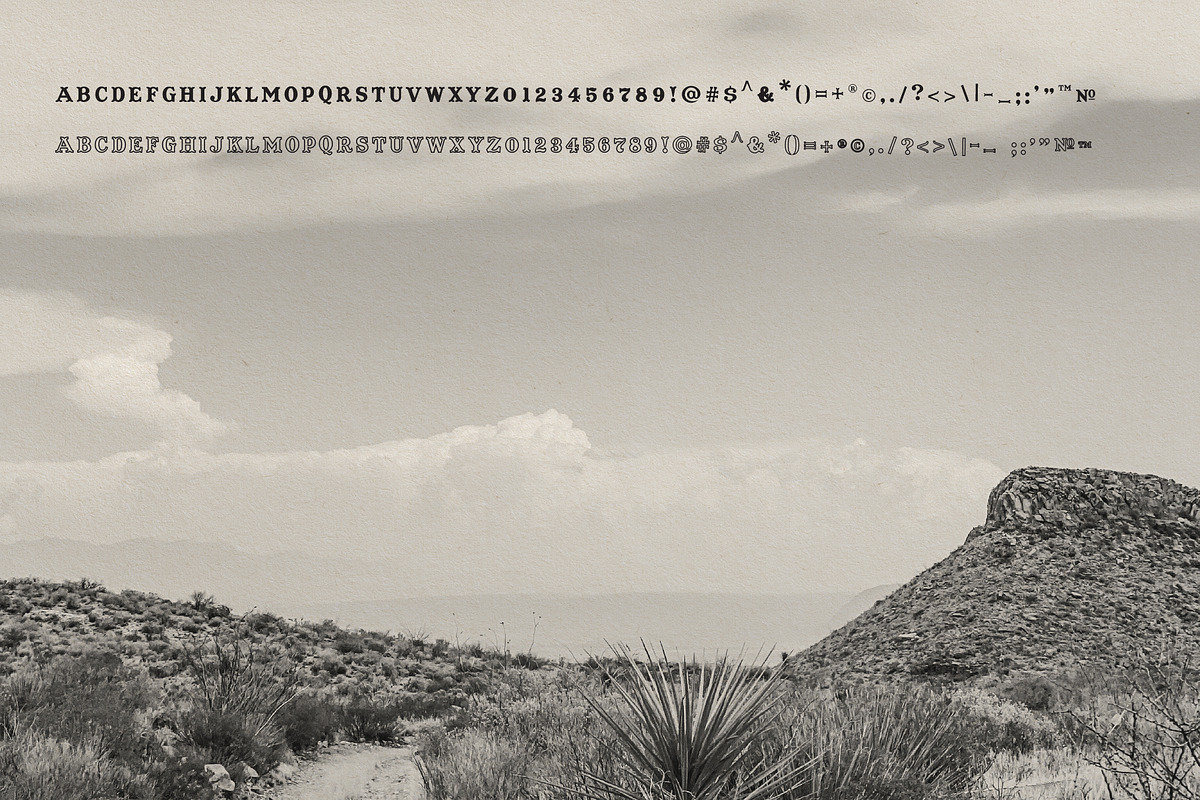 Coachwhip -  A Western Font, a Font by Antiquaria (Photo 3 of 4)