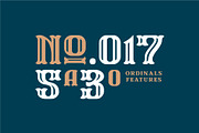 WallAxe Fonts Condensed, a Slab Serif Font by Nocturnal Workspace (Thumbnail 13 of 17)