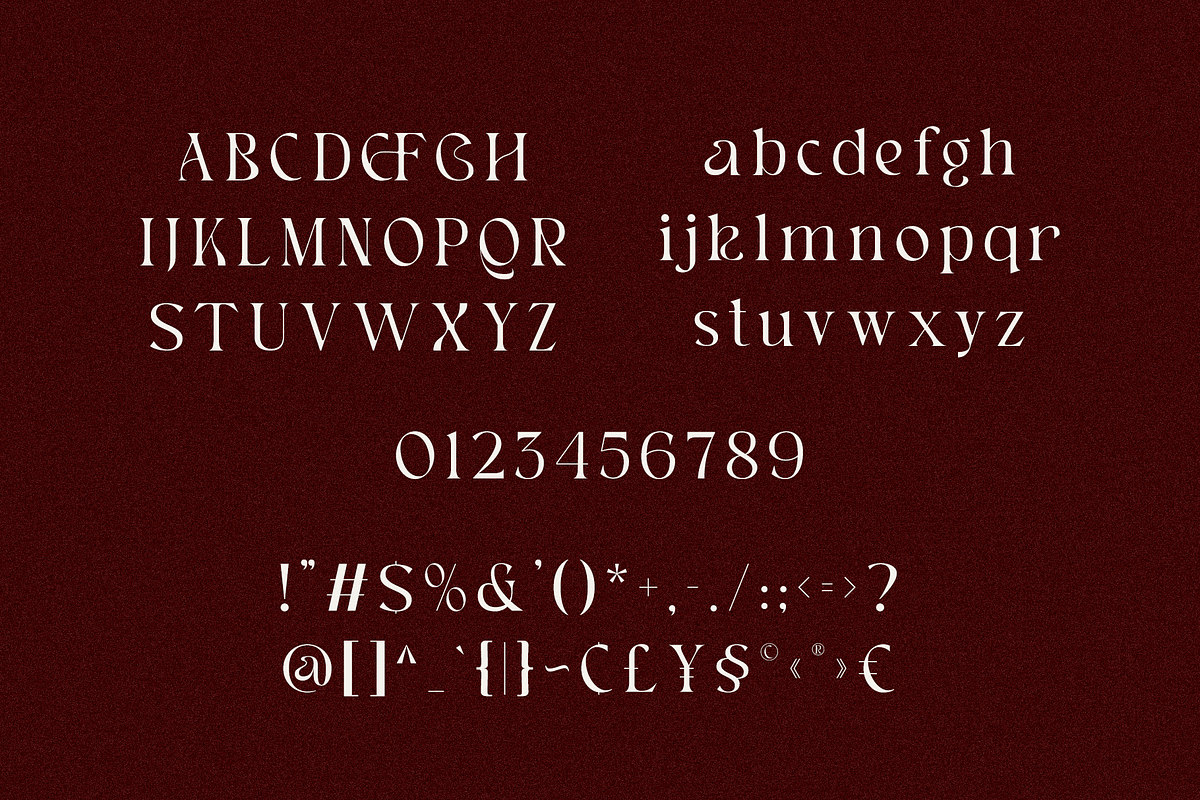 Hakuna – Elegant Serif Font, a Serif Font by Pen Culture (Photo 7 of 9)