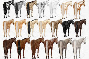 Watercolor Horse Clipart Horses Png