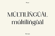 Blureigh Typeface - Hitype, a Serif Font by Hitype (Thumbnail 10 of 10)
