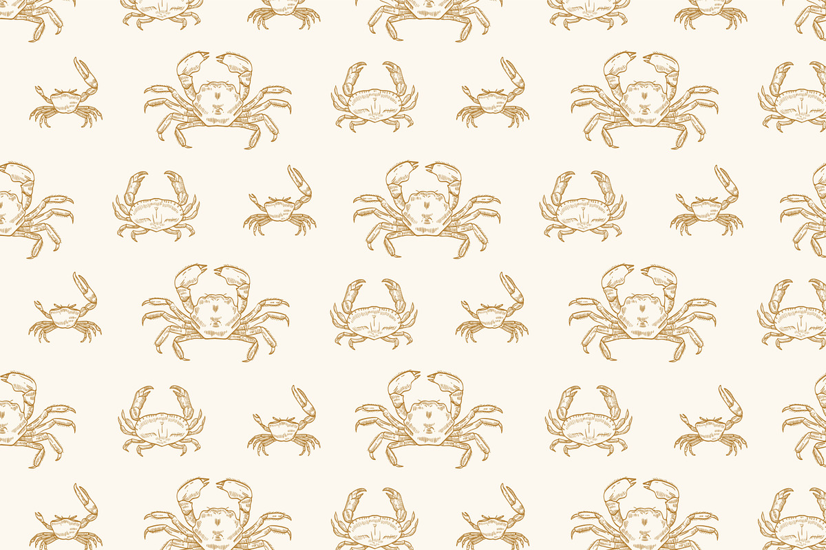 Crabs set + seamless patterns, an Animal Illustration by Good Studio (Photo 9 of 14)