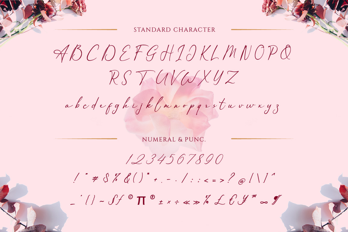 Themollina, a Script Font by kerismaker (Photo 3 of 12)