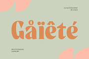 CS Alston – Bold Font, a Serif Font by Craft Supply Co. (Thumbnail 4 of 8)