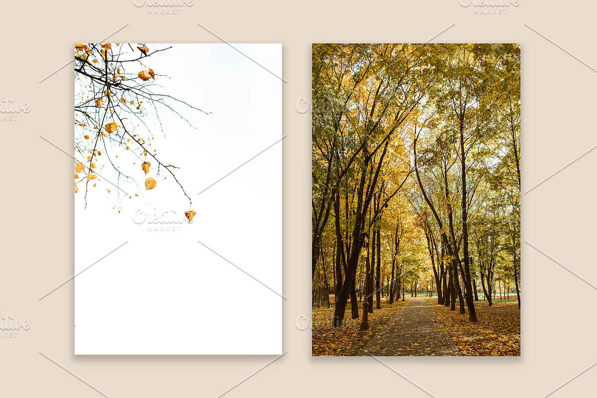 Fall Collection 2, a Beauty & Fashion Photo by Floral Deco (Photo 7 of 7)
