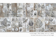 Woodland Prints, a Decorative Illustration by rileyBgraphics (Thumbnail 2 of 6)