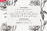 Rhea Line Script, a Script Font by JNJ Studio (Thumbnail 8 of 8)