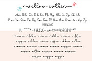 Willow Catkin Duo, a Handwritten Font by DN Creative (Thumbnail 6 of 8)