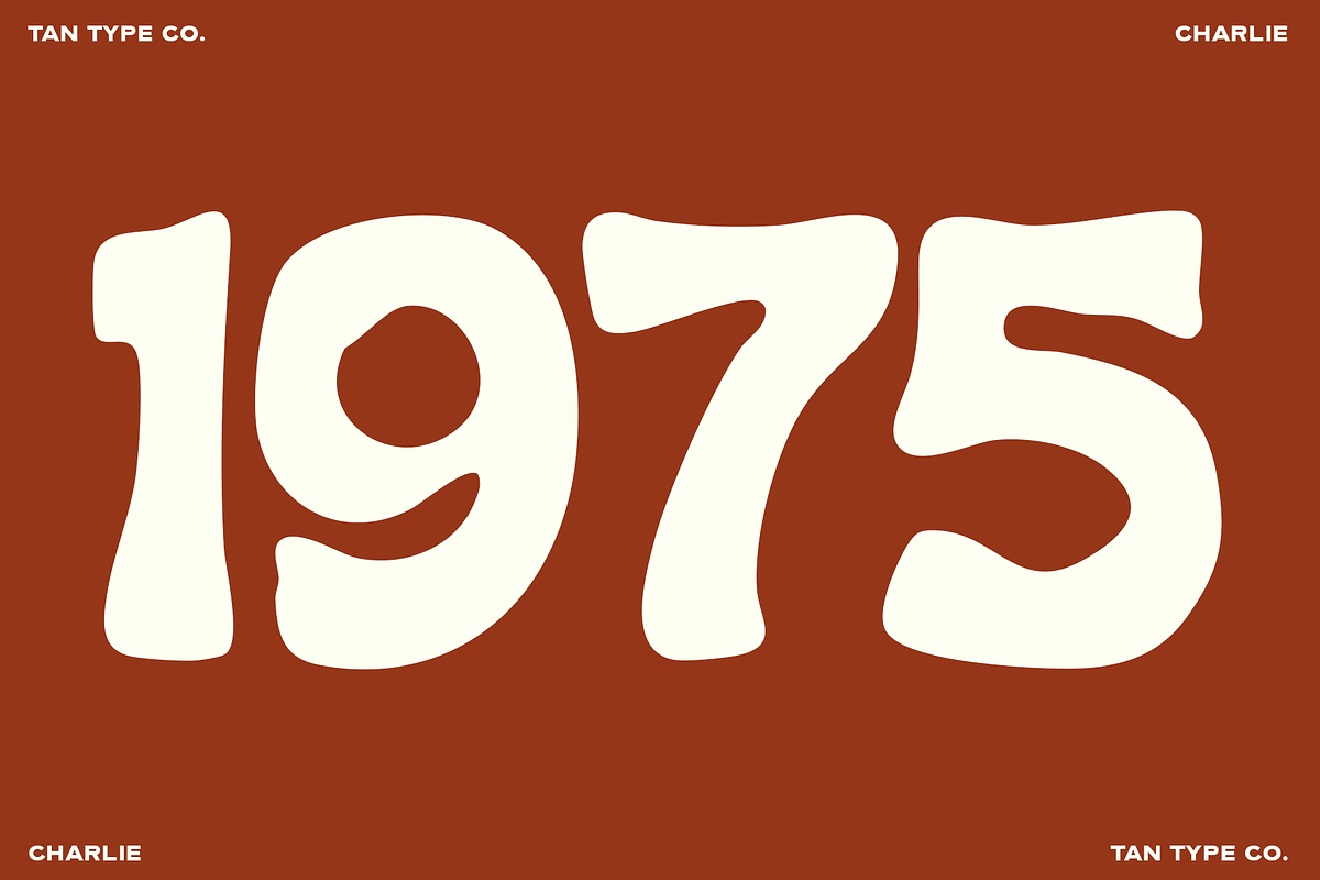TAN - CHARLIE, a Handwritten Font by TanType (Photo 11 of 14)