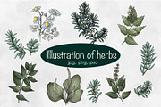 Herbal collection, a Decorative Illustration by sizileon (Thumbnail 3 of 11)