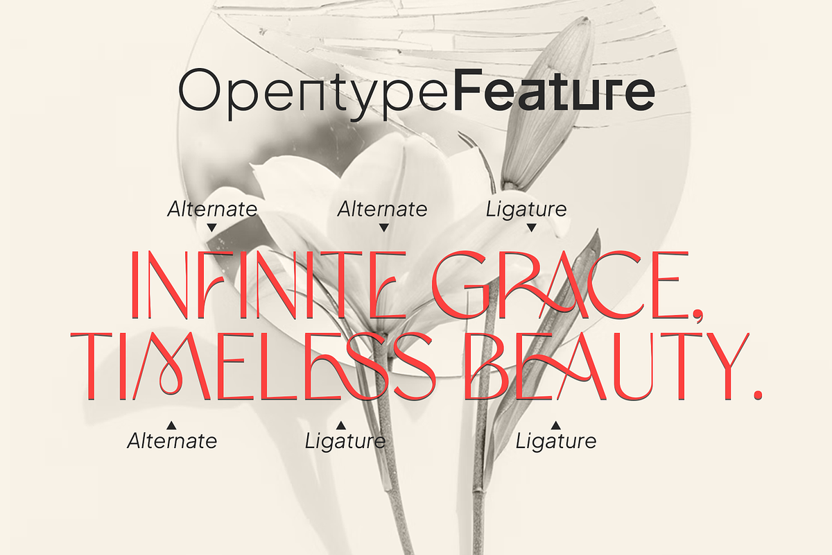 Amoera Elegant Serif Display Font, a Serif Font by Vampstudio (Photo 6 of 14)