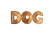 Dog care. 15 items, an Animal Illustration by Svetlana Barchan (Thumbnail 10 of 16)