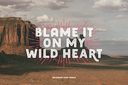 Wildheart | Font Family + Elements, a Font by Callie Rian & Co. (Thumbnail 2 of 17)