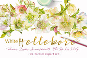 BUNDLE PINK FLOWERS-85%, an Illustration by watercolorwild.graphics (Thumbnail 7 of 11)