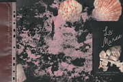 La Maree — Coastal Ephemera, a Background Graphic by nadispasibenko (Thumbnail 7 of 9)