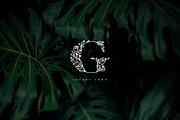Flola Hand Drawn Font, a Font by freeject.net (Thumbnail 2 of 4)