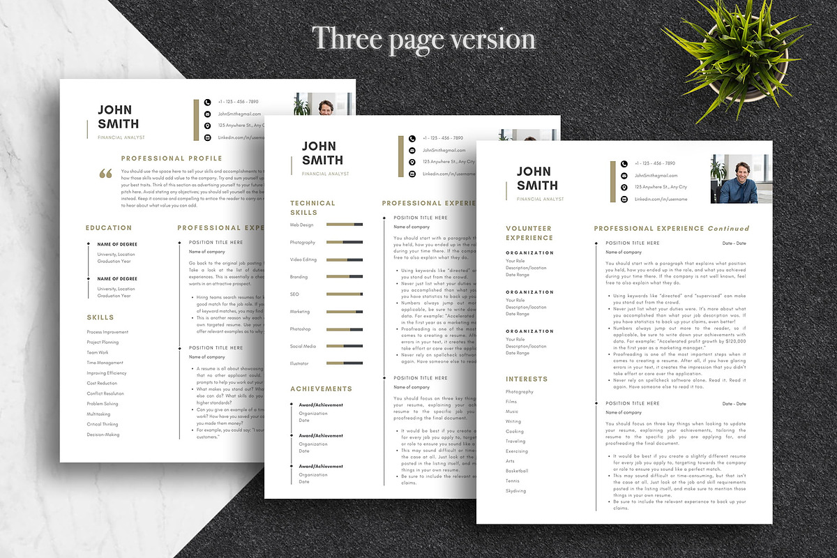 Professional CV Template | Canva, a Resume Template by Lux Resume (Photo 3 of 9)
