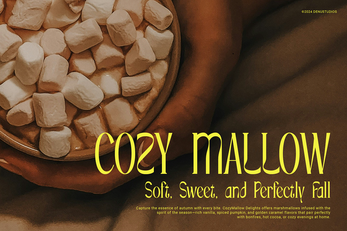 Minyanot | Modern Display Serif, a Serif Font by Denustudios (Photo 3 of 13)