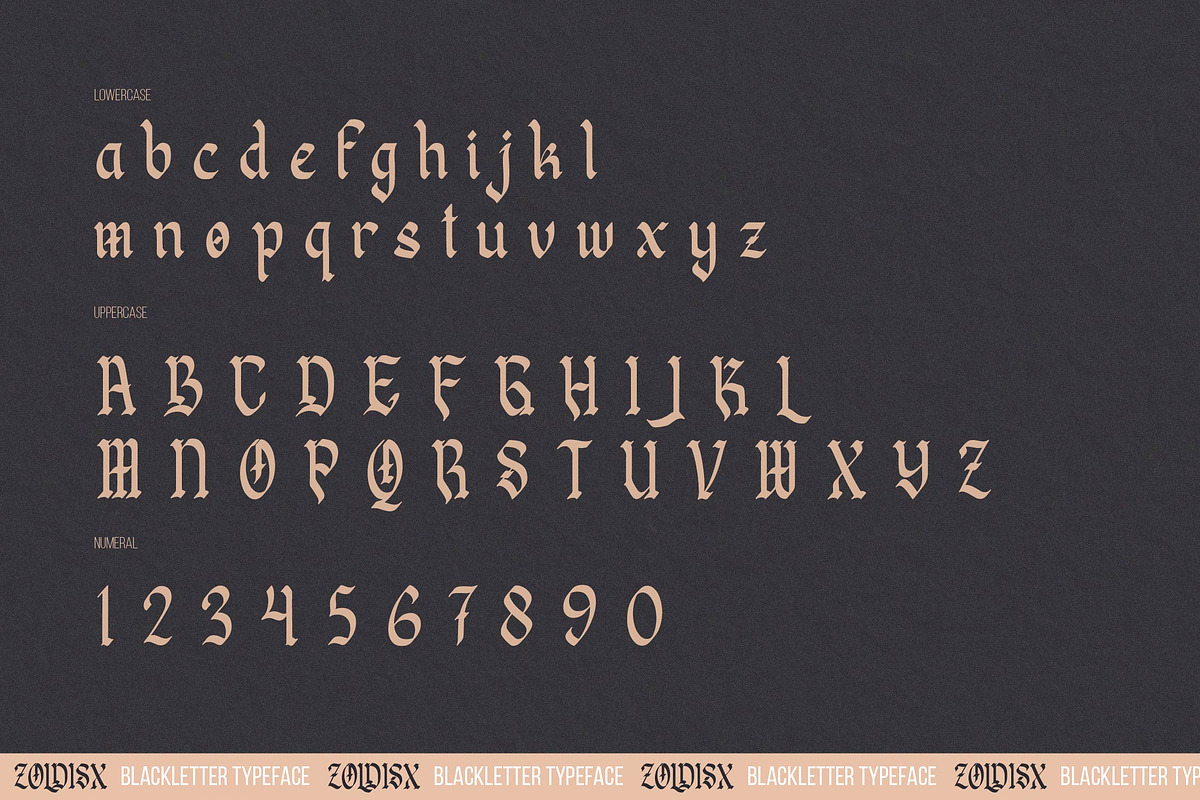 Zoldisx | Blackletter Typeface, a Blackletter Font by Denustudios (Photo 13 of 15)