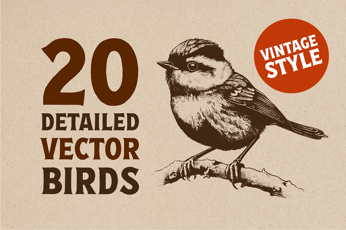 20 Vintage Birds Vector Graphics, a Graphic by Vectorian (Photo 4 of 4)