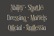 Sevenity, a Serif Font by din-studio.com (Thumbnail 8 of 11)