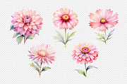 Watercolor Flowers Clipart PNG Set., a Decorative Illustration by kaisorn (Thumbnail 5 of 5)