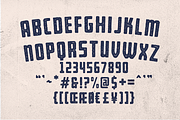 Bearbone Sans (8 Fonts Total!), a Sans Serif Font by Martype (Thumbnail 8 of 10)