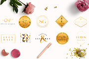 50 ROSE LOGO PACK, a Branding & Logo Template by IsikChic (Thumbnail 5 of 6)