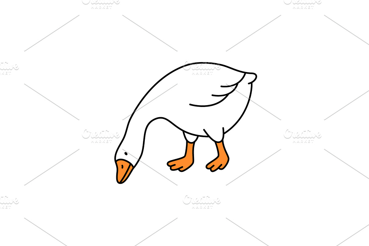 Goose illustration bending head low, an Animal Illustration by GraphiShop