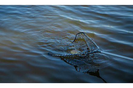 Fishing fish on the hook. Selective, a Sports & Recreation Photo by yanadjana