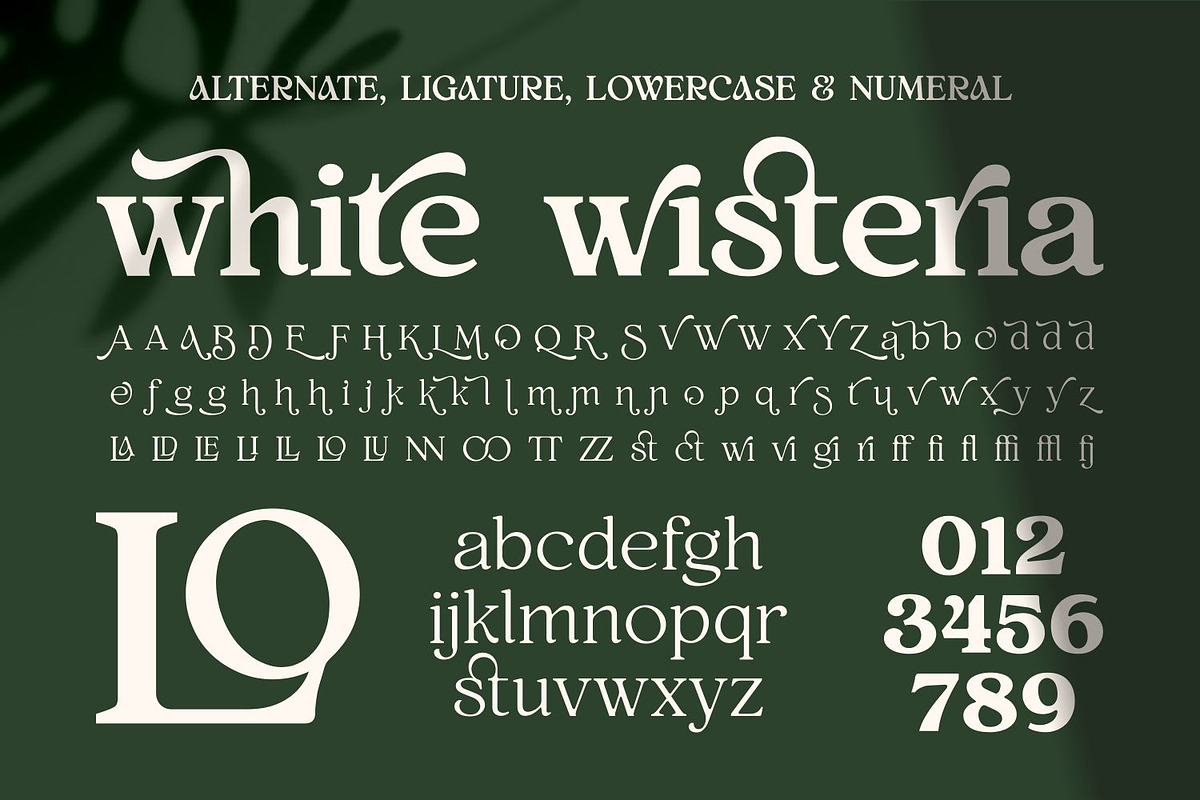 White Wisteria Fonts Family, a Serif Font by Asenbayu (Photo 10 of 13)