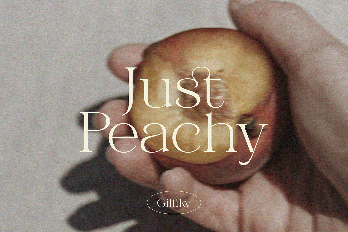 Gilfiky – Elegant Modern Serif, a Serif Font by BrandSemut (Photo 8 of 10)