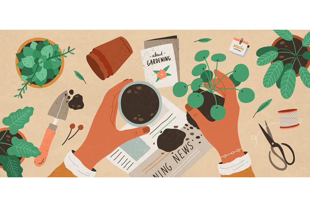 House plant transplanting, an Object Illustration by Good Studio (Photo 1 of 3)