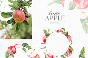 Apple Clipart Collection, an Illustration by YuliyaArtGarden (Thumbnail 4 of 8)