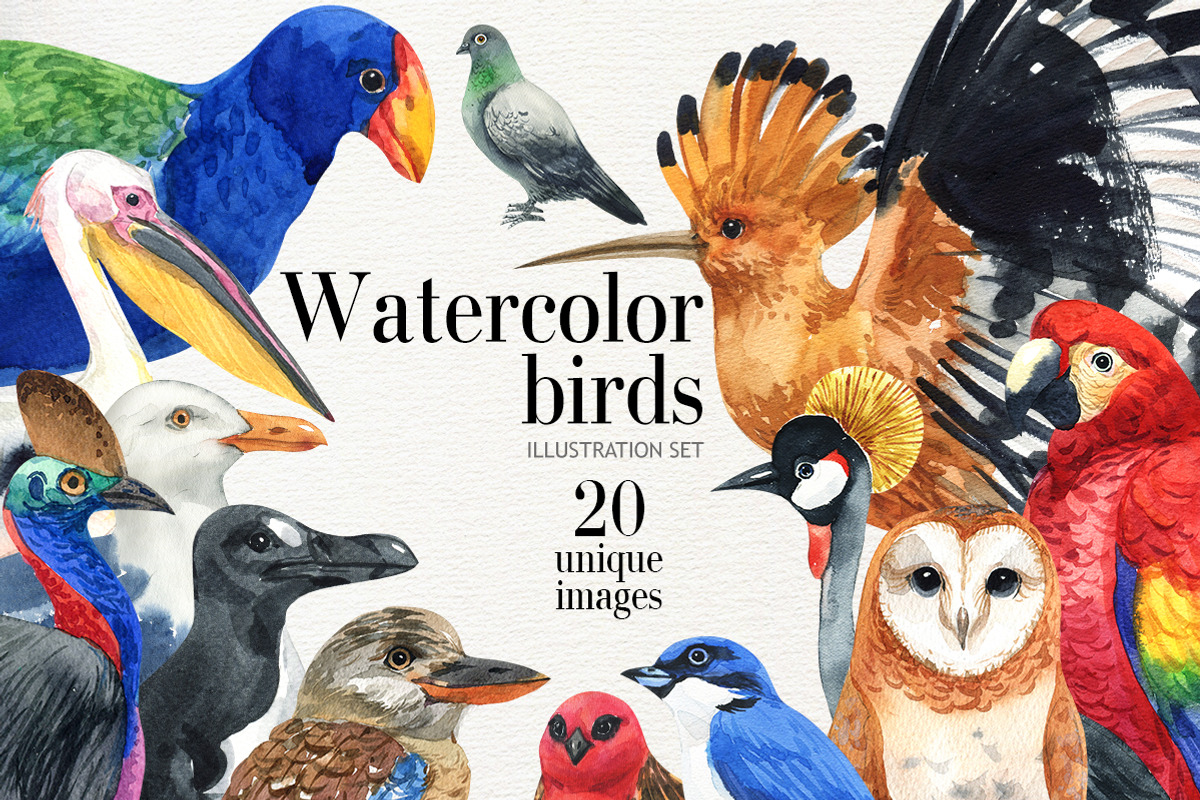 Watercolor Birds set, an Illustration by KatBranchArt (Photo 1 of 2)