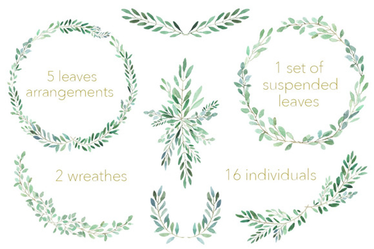 All About Leaves, an Illustration by MariePierLaf (Photo 3 of 4)