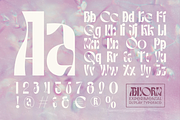 Abnorm Experimental Display Typeface, a Serif Font by Graphue (Thumbnail 2 of 9)