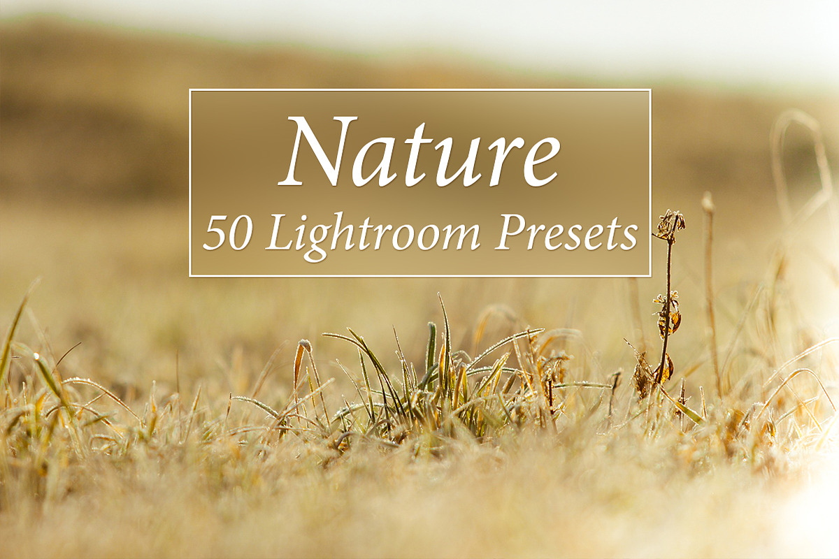 1001 Lightroom Collection, an Action Add-On by ArtPlanet (Photo 3 of 31)