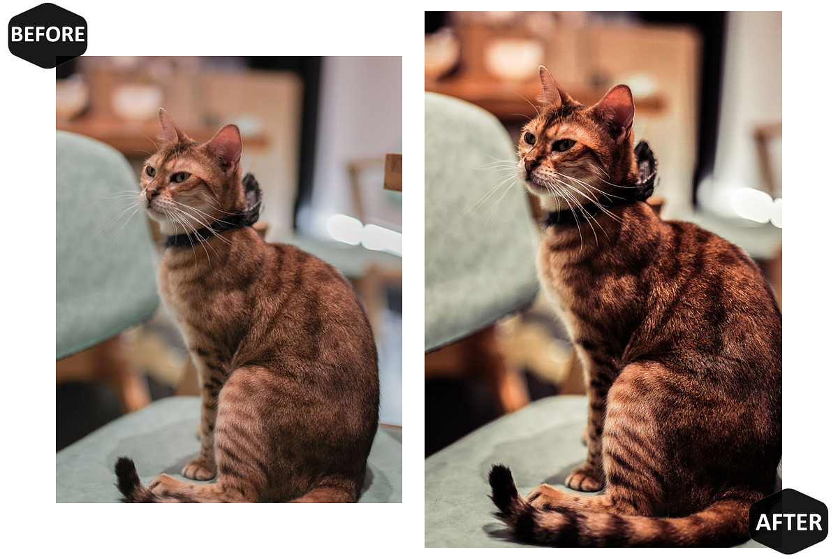 12 Bookends Photoshop Actions, an Action Add-On by Hue Palettte Studio (Photo 9 of 10)