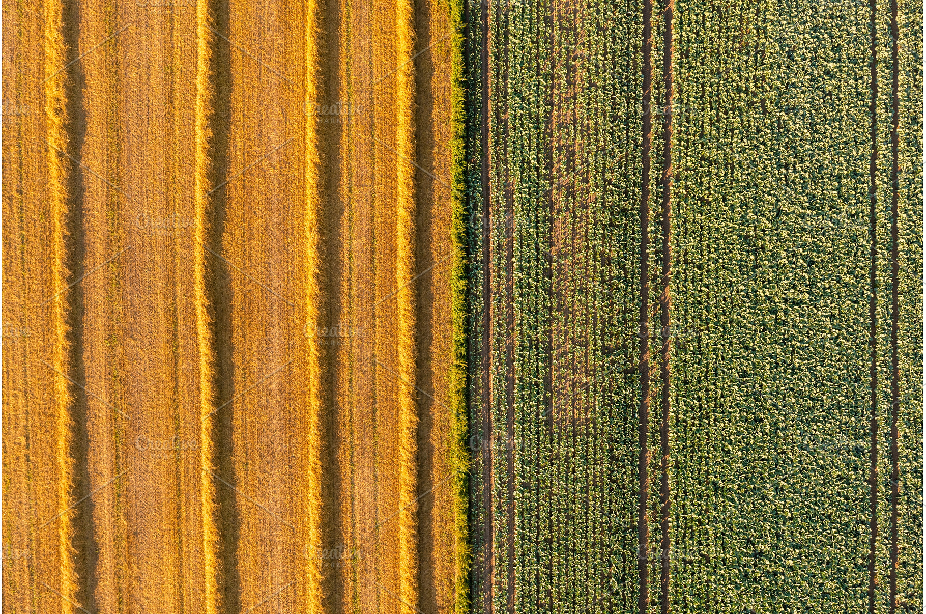 Aerial view of the field during, a Technology Photo by MadPhotos