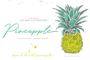 PINEAPPLE hand-sketched plus colors, an Illustration by Friendly Label (Thumbnail 1 of 2)