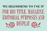 Astencil: Stencil Serif Font, a Serif Font by Andfonts (Thumbnail 2 of 8)