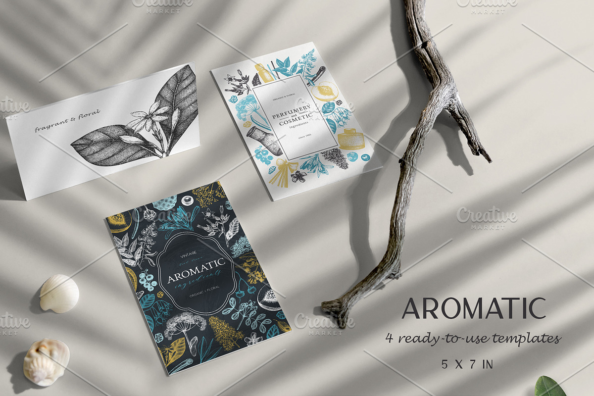 Aromatic Plants & Flowers Sketches, a Healthcare Illustration by Yevheniia (Photo 6 of 9)
