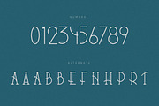 Vitanala | Elegant Serif Font, a Serif Font by Bewalrus Studio (Thumbnail 7 of 7)